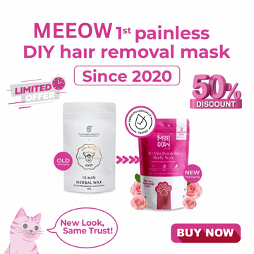 MEEOW 10-Min Painless DIY Hair Removal Mask | 4-in-1 Camel Milk & Rose Herbal Powder | Removes Hair, Reduces Tan, Exfoliates & Nourishes